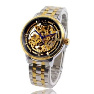 Men's Fitron Automatic Watch Silver & Gold